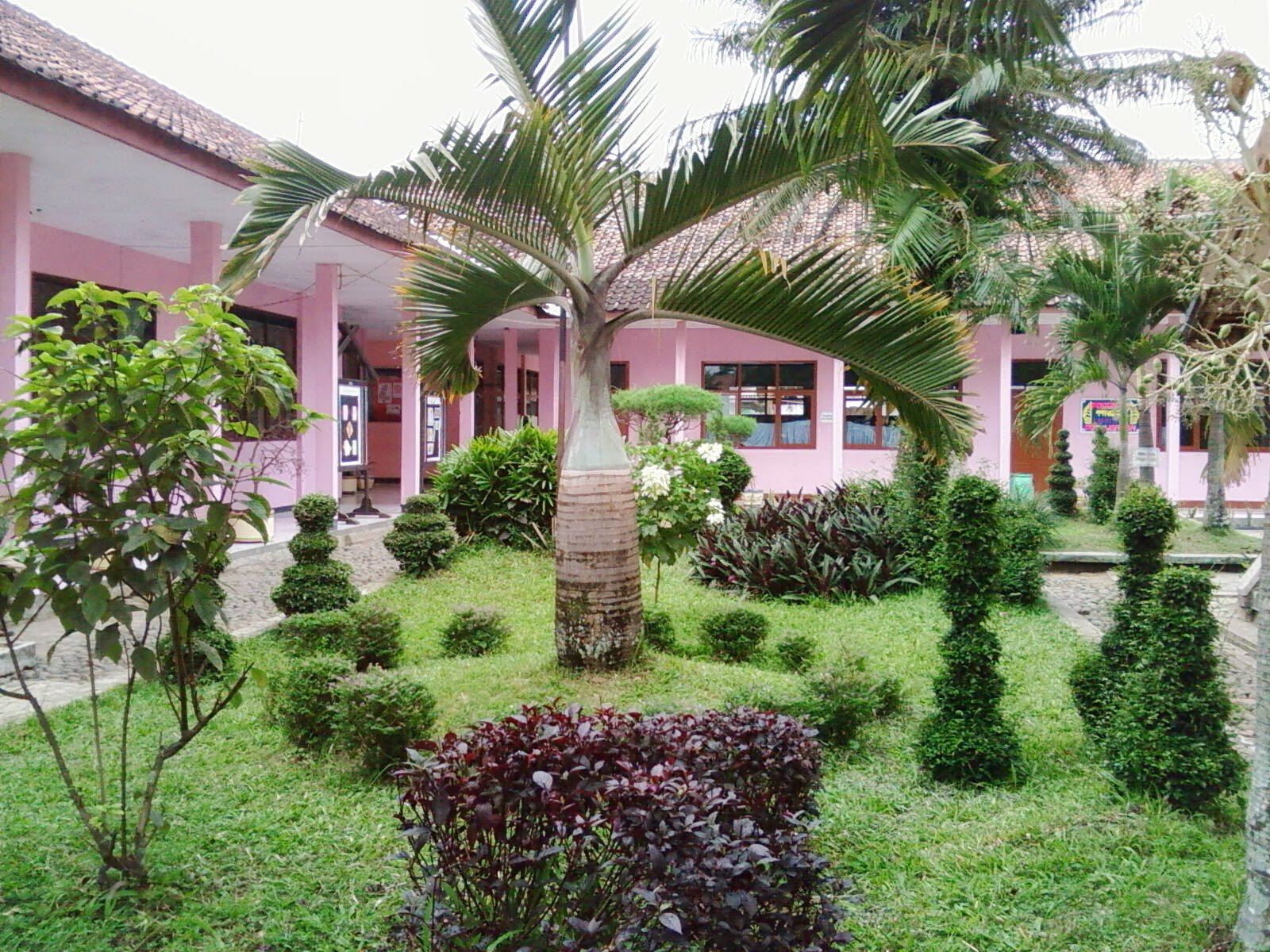 blog baruku XI IPS 2 - fifit (13) SMAN 1 Kraksaan