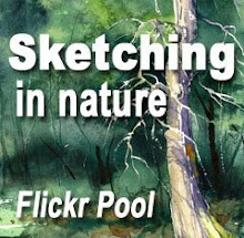 Sketching in Nature on Flickr!