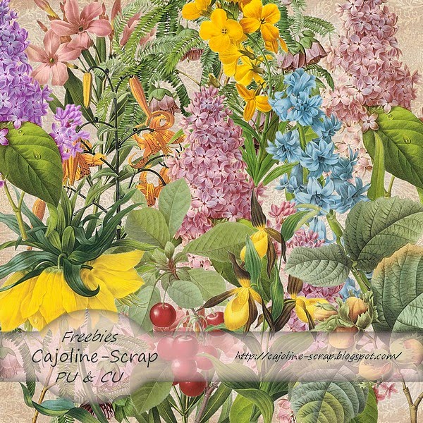 [CAJ.SCR.FR+12+FLEURS+POUR+SCRAP+-+PU+ET+CU+-+PREVIEW.jpg]