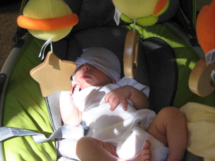 Alex getting some sun in his Wasabi bouncer