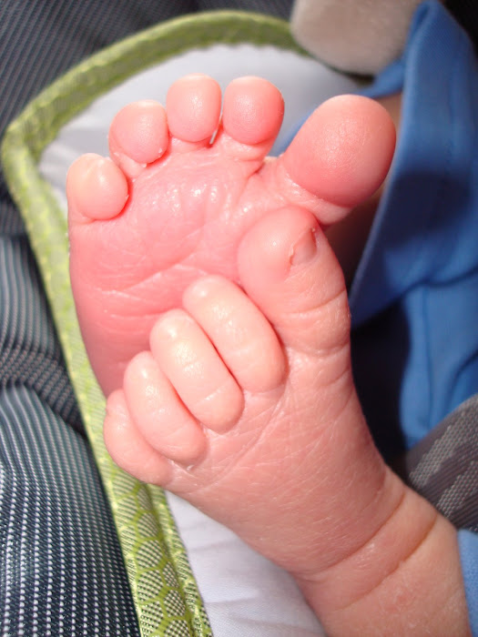 Alex's perfect little feet - 4 days old