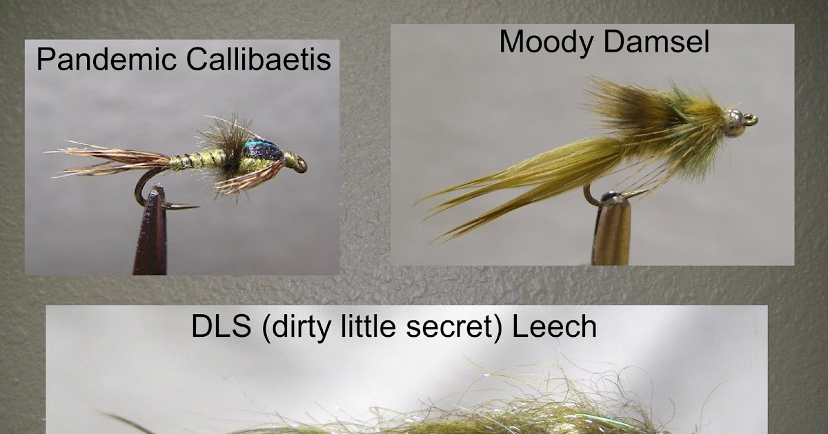 Colorado Fly Fishing Reports Best flies for high country lakes, Colorado