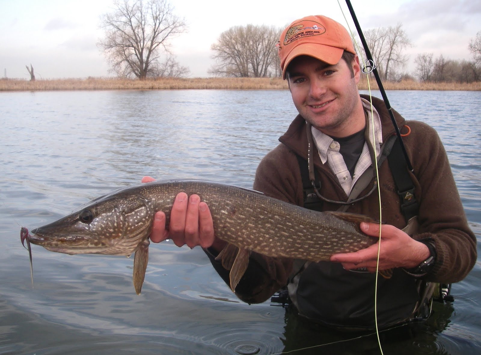 Colorado Fly Fishing Reports Fly Fishing for Pike in Colorado (a crash