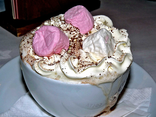 Hot chocolate with marshmallows and whip cream