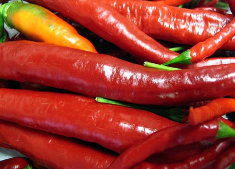 Loon Cafe Chili Recipe Loon Cafe Chili Recipe