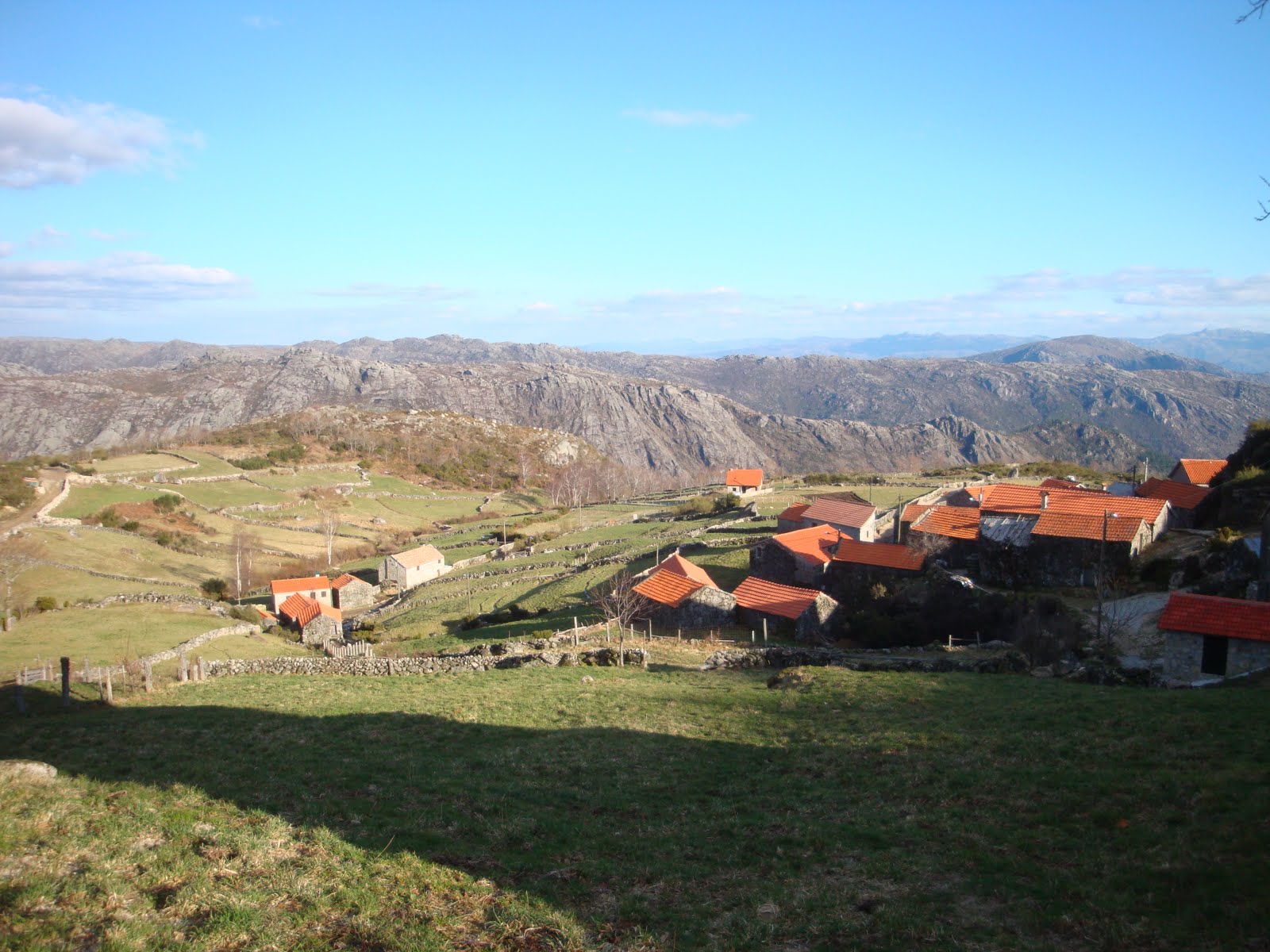 [DSC04447.JPG]