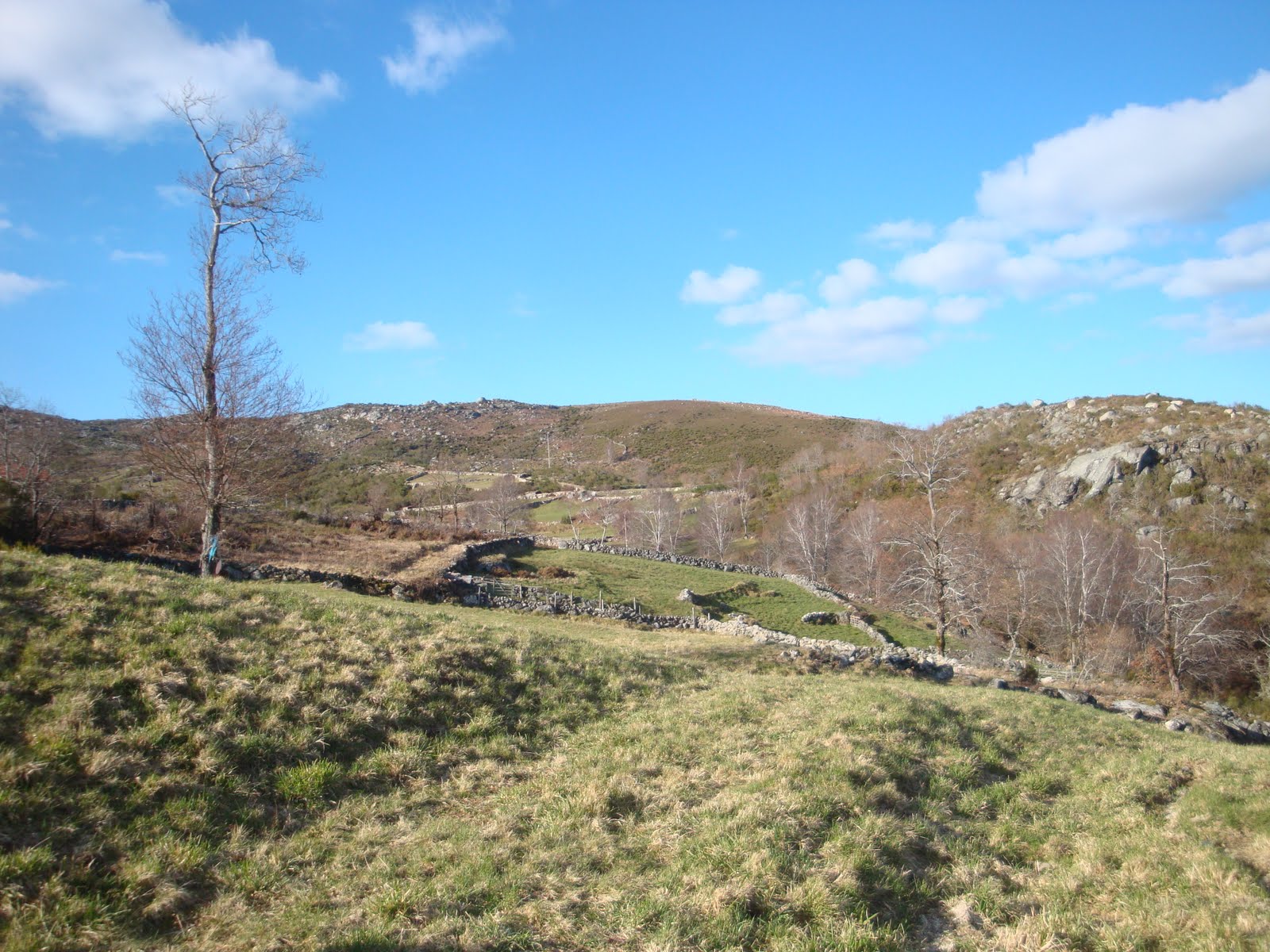 [DSC04422.JPG]