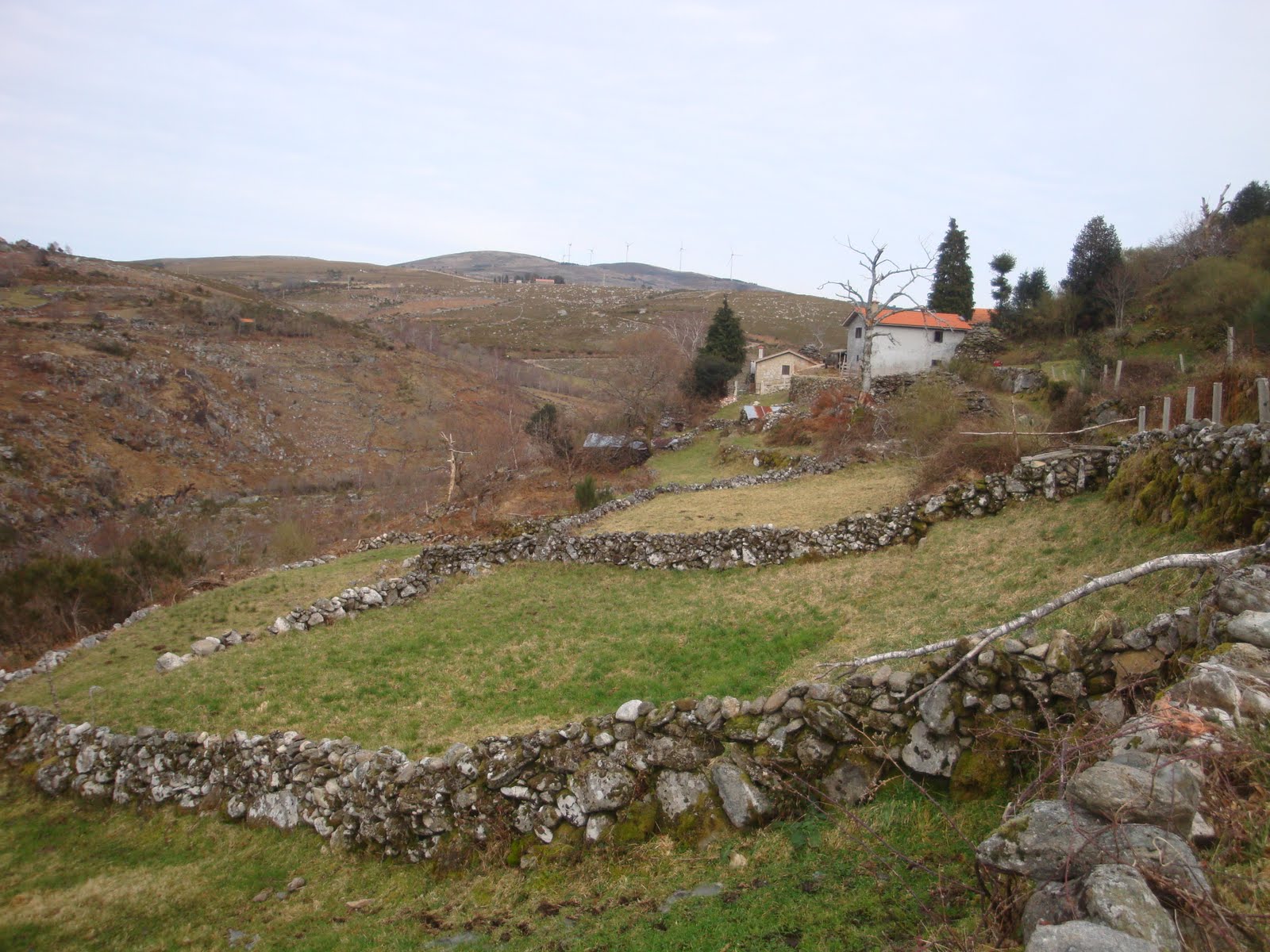 [DSC04597.JPG]