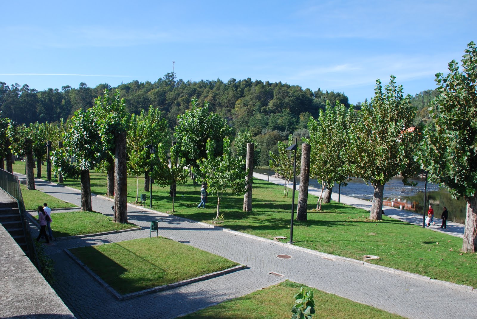 [DSC_1766.JPG]