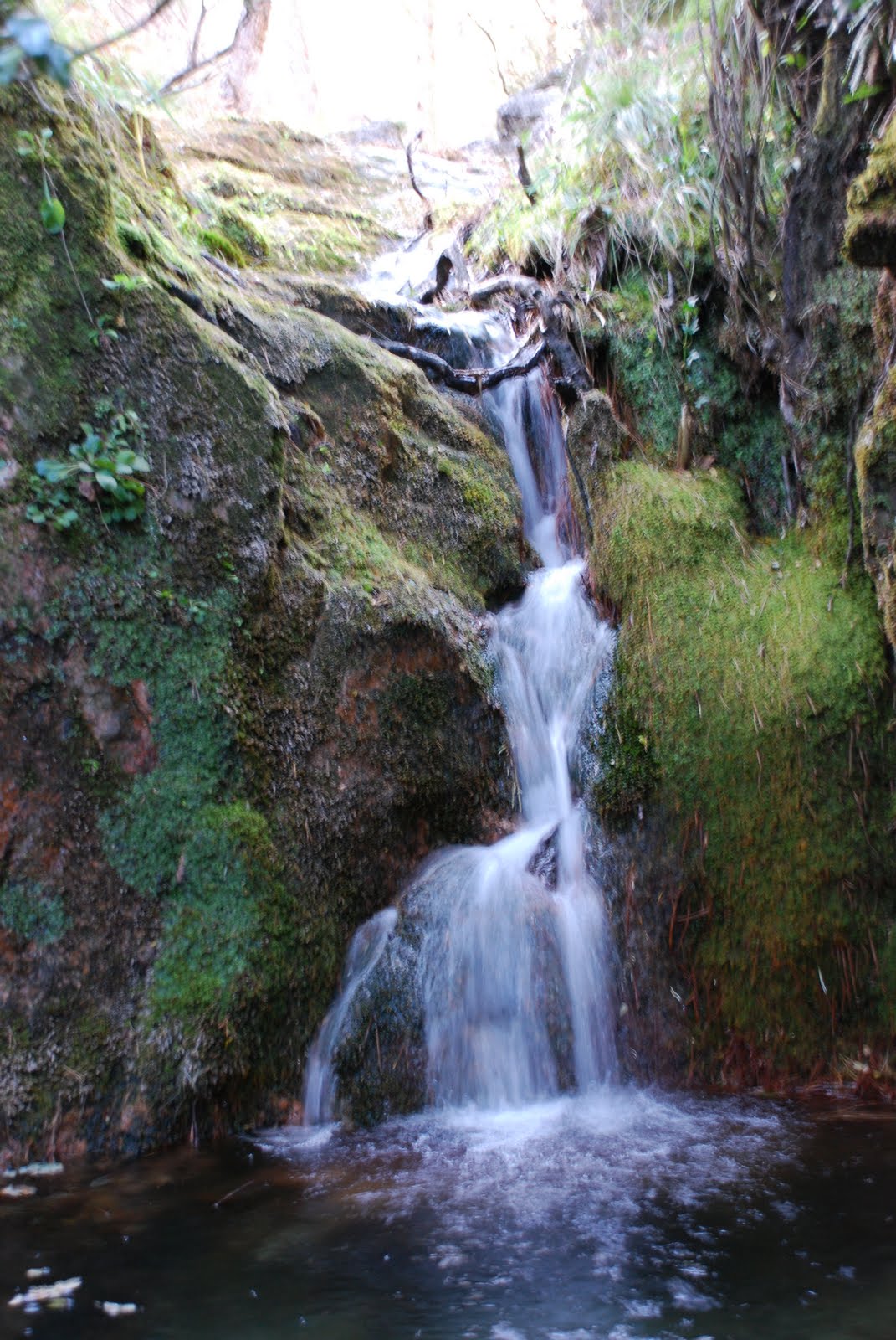[DSC_1591.JPG]