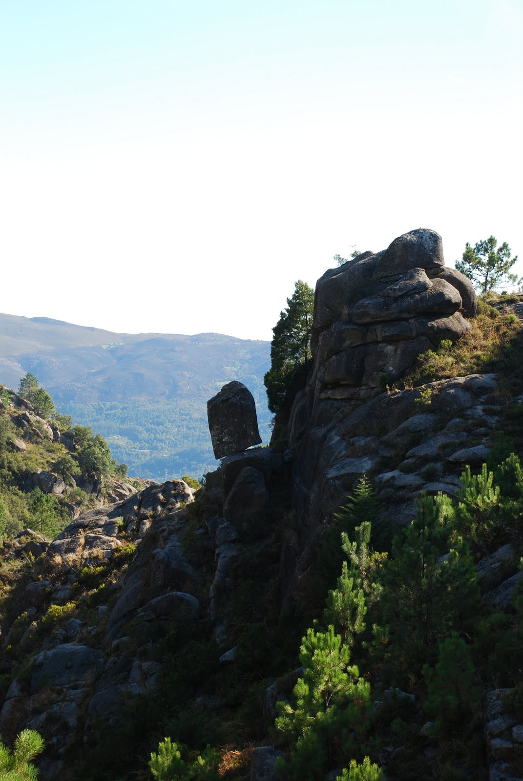 [DSC_1562.JPG]