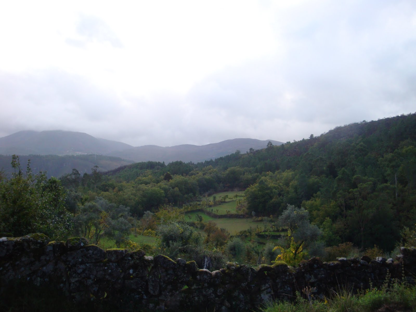 [DSC02859.JPG]