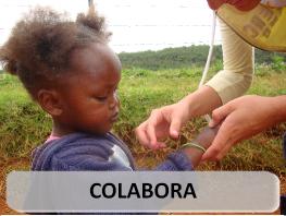COLABORA: