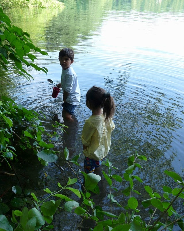 [2009+july+12+walden+walk+turtle+p+014+kids+wading+lo.JPG]