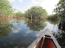 25 mars Everglades - Nine Mile Pond