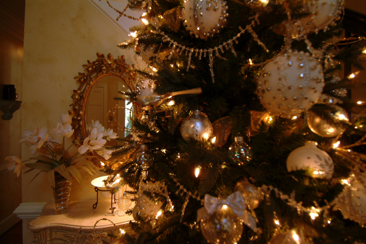 A Perfect Setting A Perfect Setting for Christmas Trees