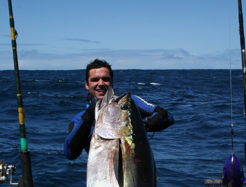 yellowfin boats competitors coatesman s spearfishing waterman s blog cape boat and yellowfin boats competitors coatesman s spearfishing waterman s blog cape boat and
