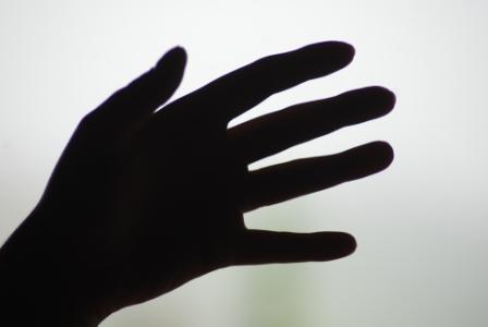 [DSC_9424_reduz.JPG]