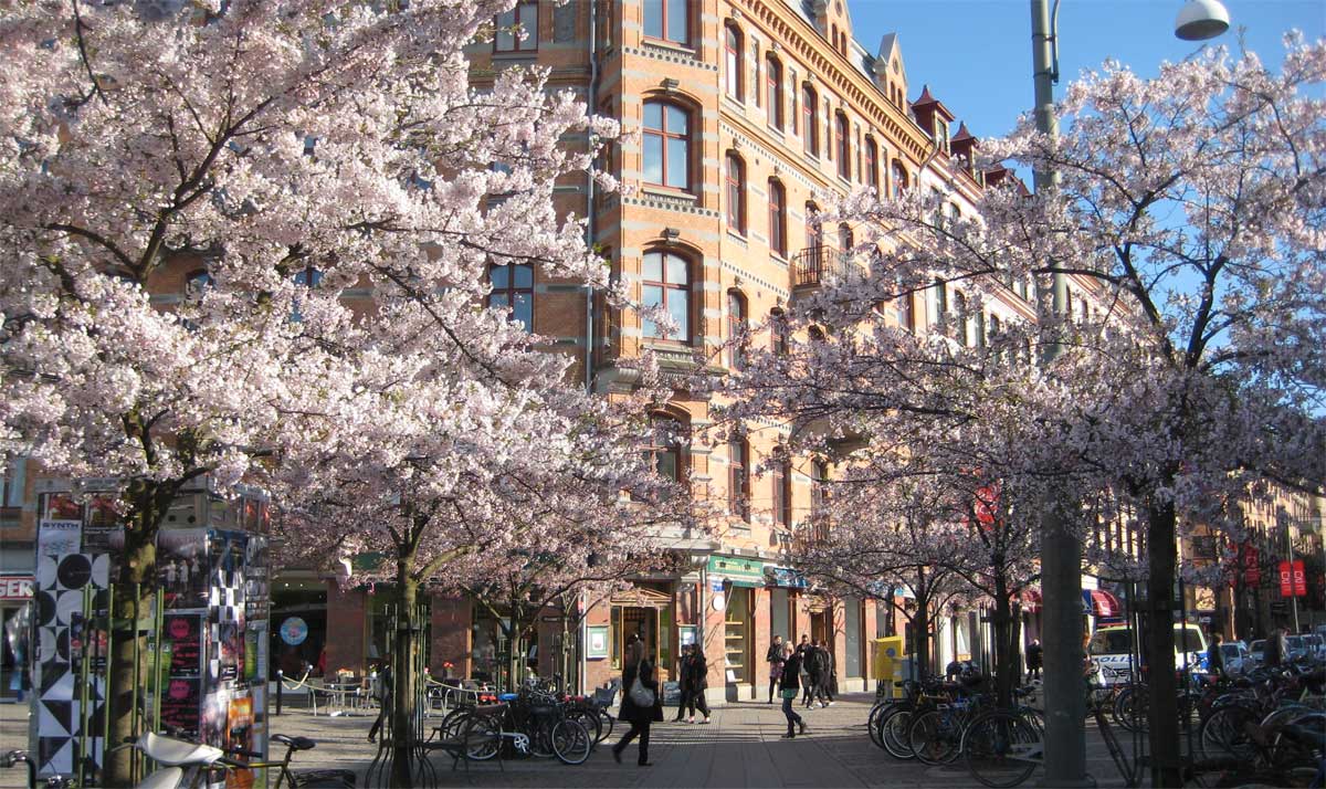 kontanter ledsagare liten nära Göteborg kontanter ledsagare liten nära Göteborg