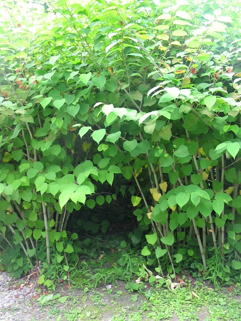 [IMG_7660.JPG]
