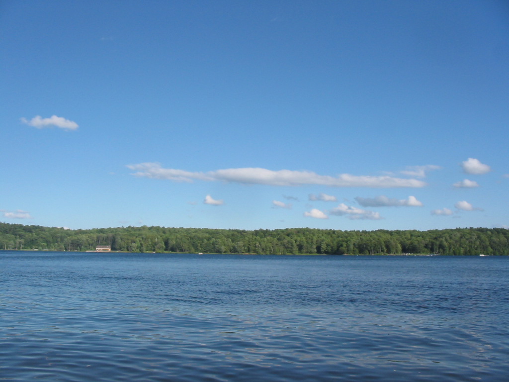 [IMG_8036.JPG]