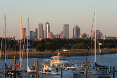 Tampa Skyline