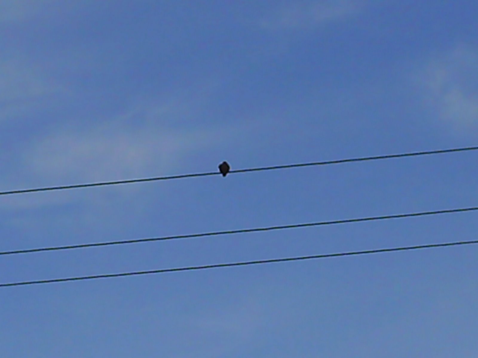 [PICT0060.JPG]