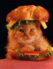 Cat Sarnie