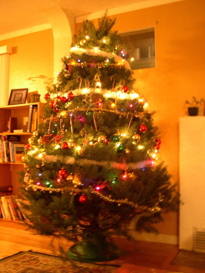 [Library+-+1703.jpg]