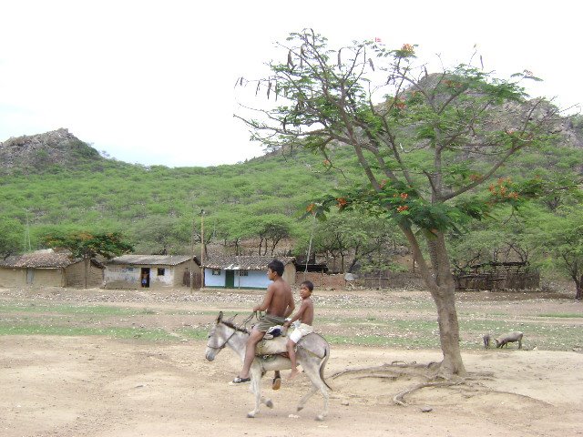 VAMOS A LA CHACRA