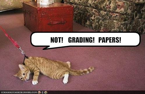 [not+grading+papers]