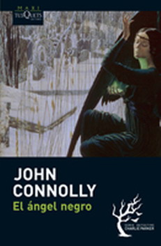 John Connolly Bird Ns Home Designers John Connolly Bird Ns Home Designers