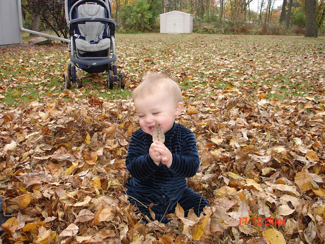 Noah loving Fall