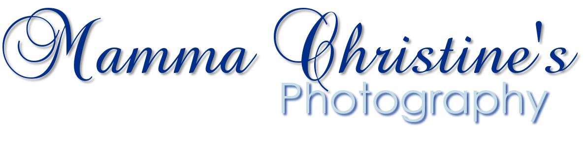 Bloggity Photography