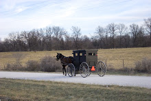 AMISH COUNTRY