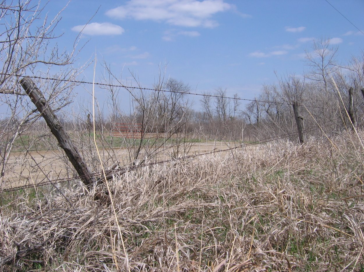 [fenceline.JPG]