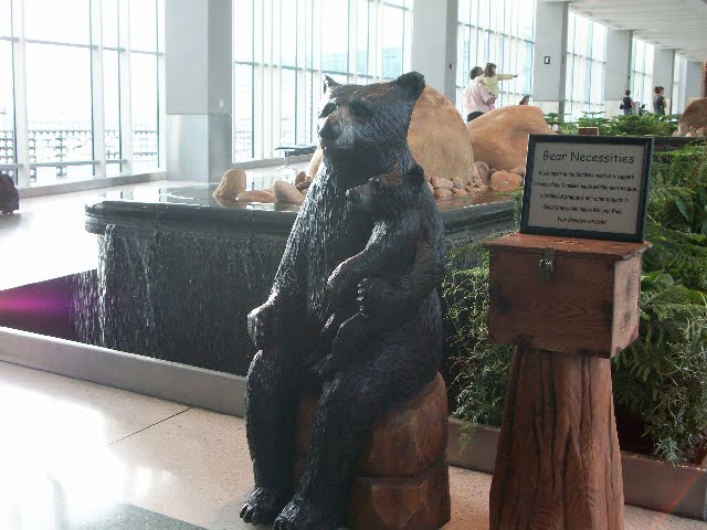 [bears_airport.jpg]