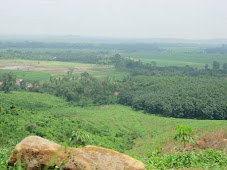 Pemandangan