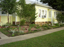 Side view, lots of east windows for plants!