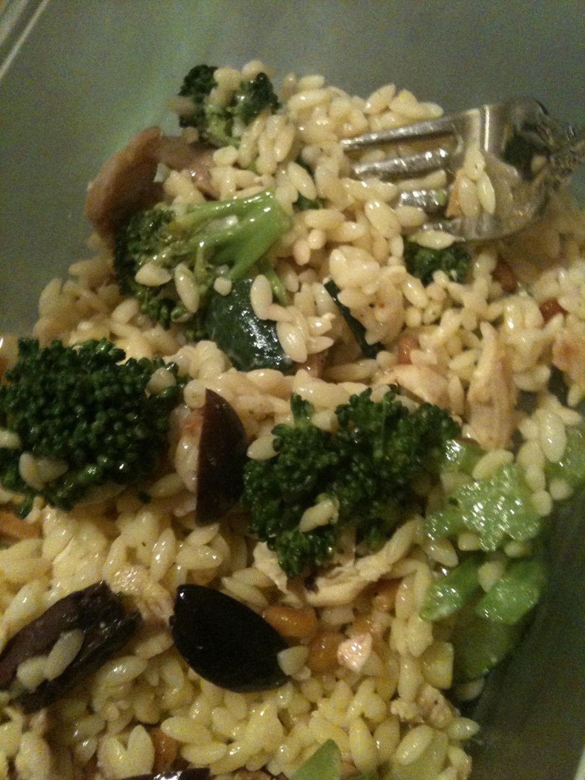 A Shared Family Recipe Journal The first recipe! Orzo with Broccoli