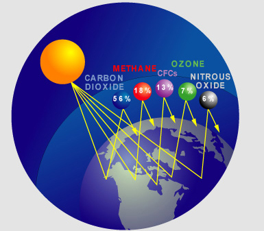 The Greenhouse Effect