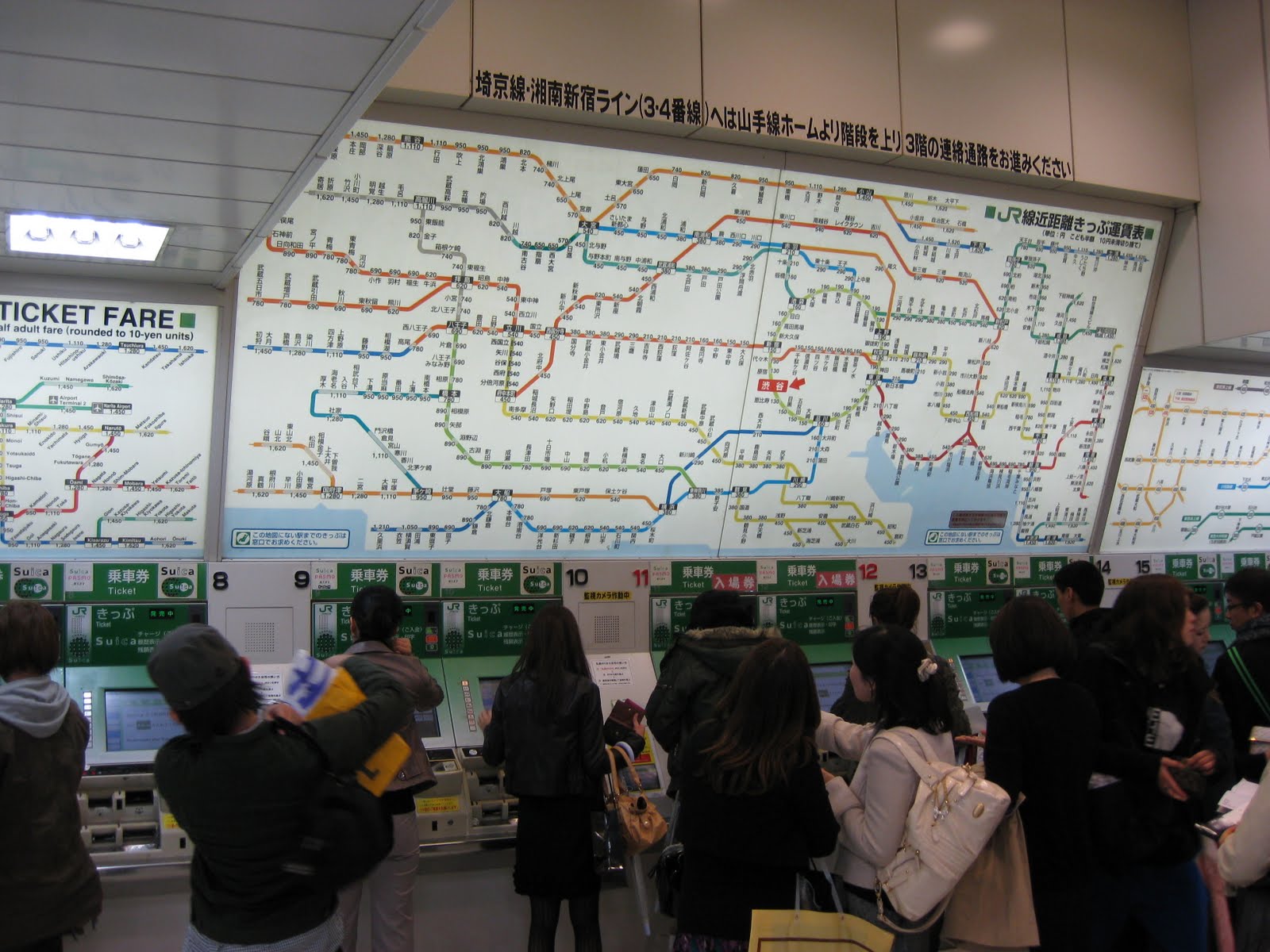 [IMG_8227.JPG]