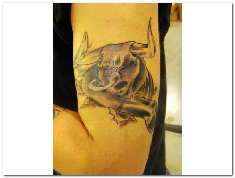 Angry Bull Tattoo Design on Arm