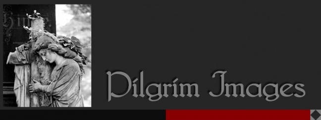 PILGRIM IMAGES IN ART