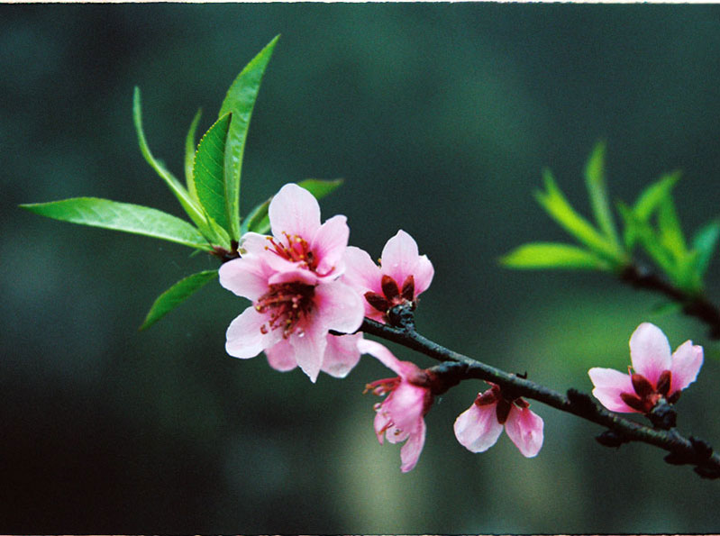 [article_bf582570-847b-4aa8-8445-8009f97d75e9.jpg]