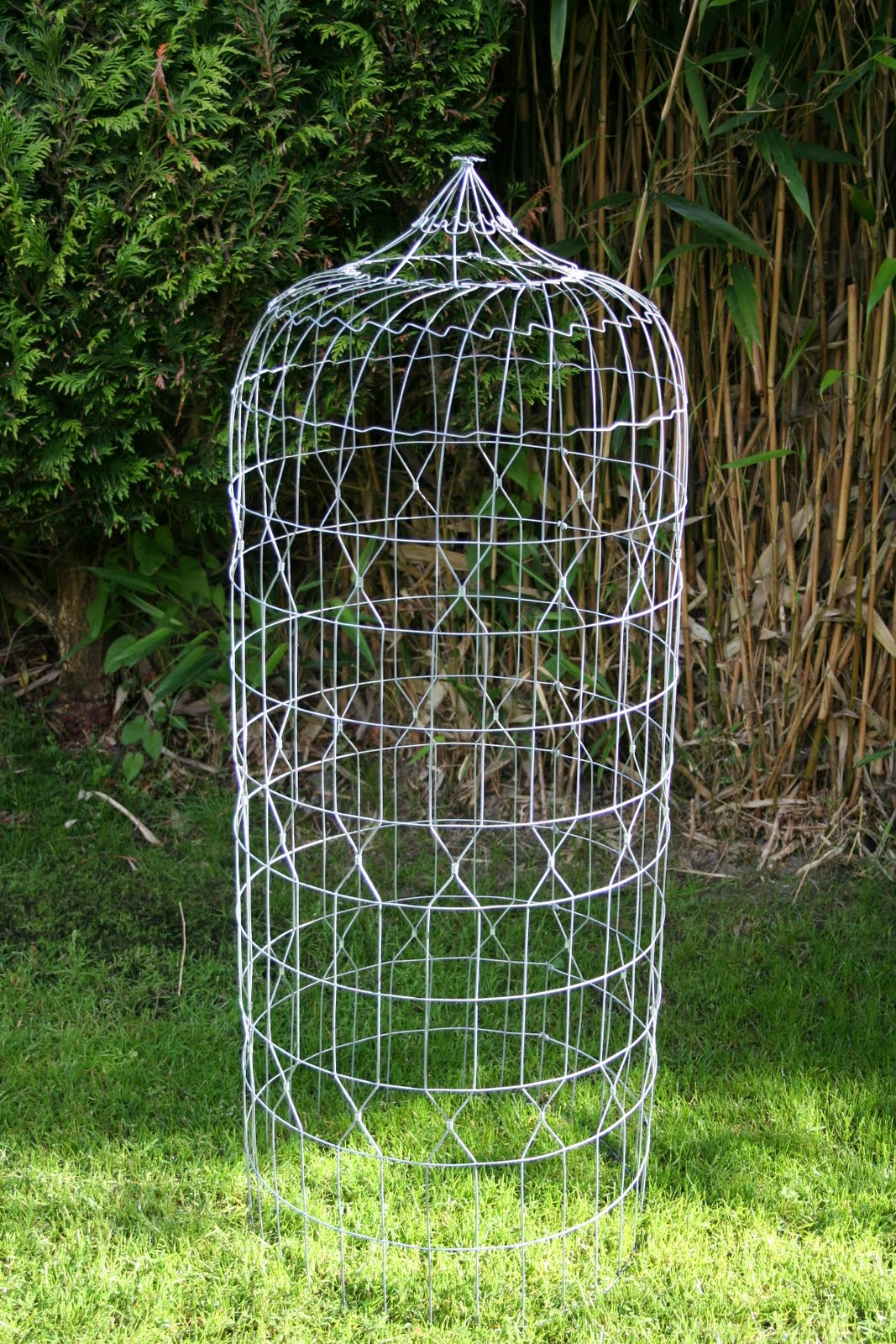 Plant Cages To Protect From Deer at Barbra Hood blog