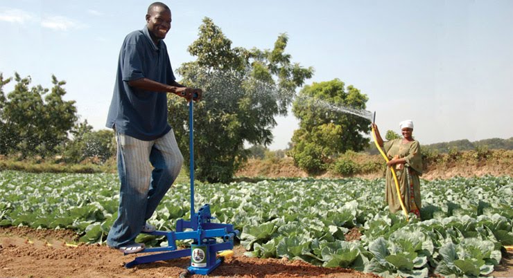 Chiefly, the portable water pumps that it carries in its product line, 