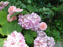 I love hydrangeas!