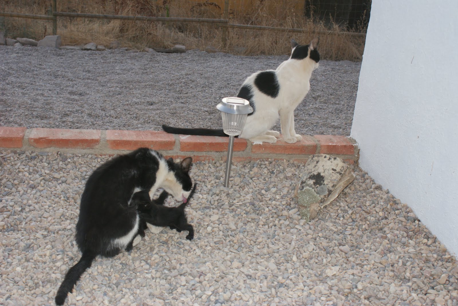 [DSC01495.JPG]