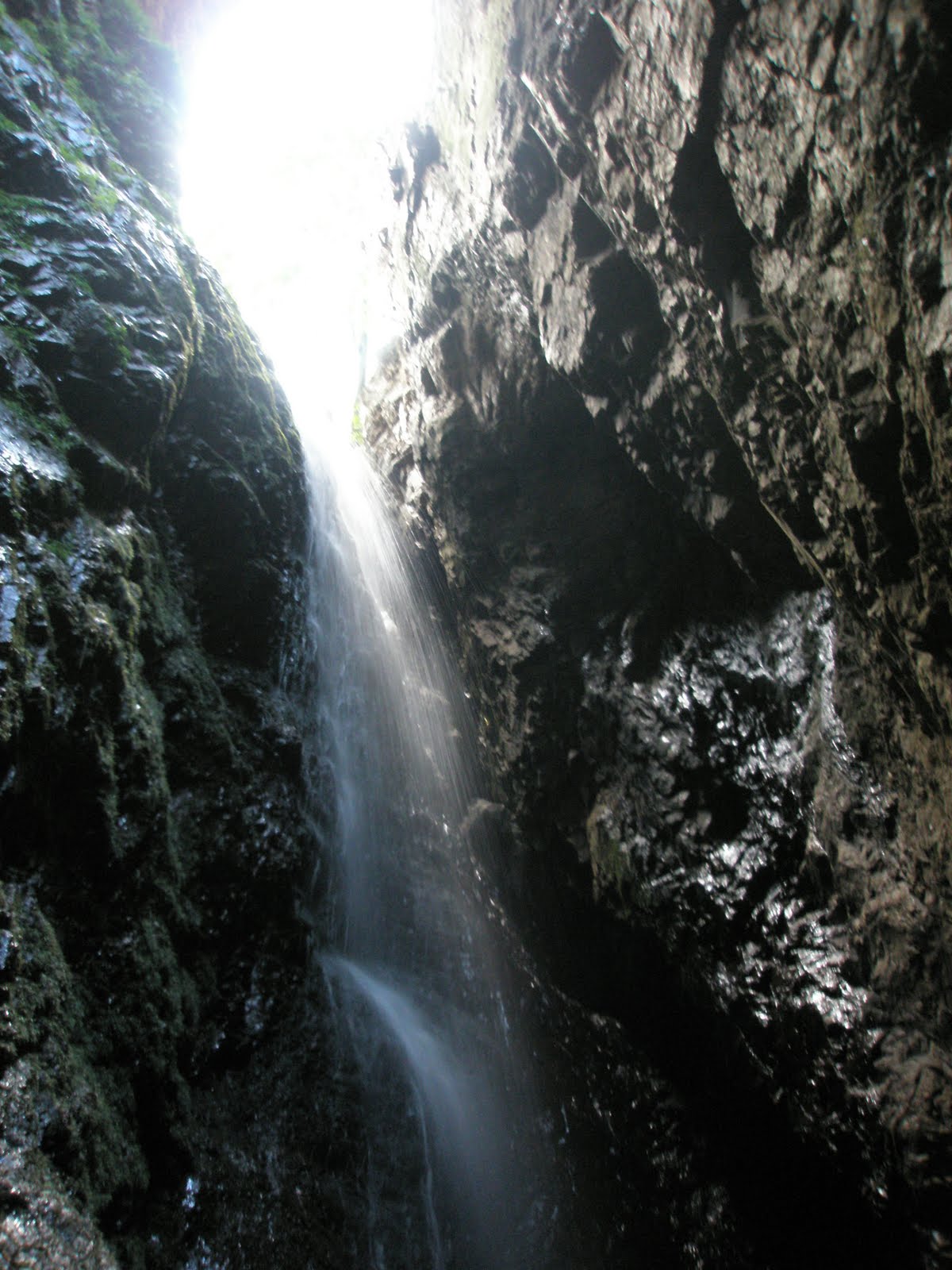 [P8190020.JPG]